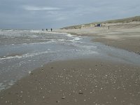 NL, Noord-Holland, Texel, Paal 15 2, Saxifraga-Willem van Kruijsbergen