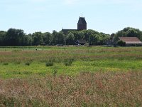 NL, Friesland, Ameland, Hollumermieden 1, Saxifraga-Hans Boll