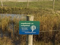 NL, Friesland, Terschelling, Berkenvallei 1, Saxifraga-Jan van der Straaten