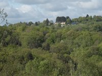F, Nievre, Dun-les-Places, Bois de Chaumont 3, Saxifraga-Willem van Kruijsbergen
