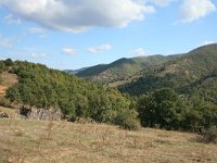 GR, Anatoliki Makedonia kai Thraki, Komotini 32, Saxifraga-Dirk Hilbers