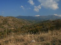 GR, Anatoliki Makedonia kai Thraki, Xanthi, Livaditis 2, Saxifraga-Dirk Hilbers