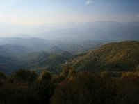 GR, Anatoliki Makedonia kai Thraki, Xanthi, Livaditis 6, Saxifraga-Dirk Hilbers