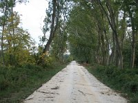 GR, Anatoliki Makedonia kai Thraki,Lasmos, Nestos Delta 64, Saxifraga-Dirk Hilbers