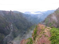 P, Madeira, Santana, Pico do Arieiro 1, Saxifraga-Mark Zekhuis