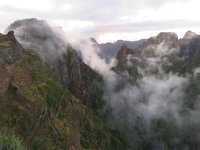 P, Madeira, Santana, Pico do Arieiro 2, Saxifraga-Mark Zekhuis