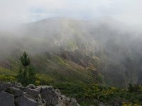 P, Madeira, Santana, Pico do Arieiro 3, Saxifraga-Mark Zekhuis