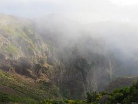 P, Madeira, Santana, Pico do Arieiro 4, Saxifraga-Mark Zekhuis