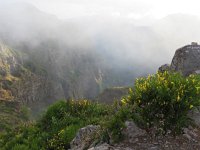 P, Madeira, Santana, Pico do Arieiro 5, Saxifraga-Mark Zekhuis