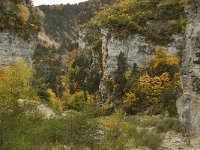 F, Drome, Treschenu-Creyers, Gorges des Gats 1, Saxifraga-Jan van der Straaten