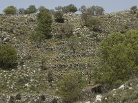 GR, Crete, Lasithi, Exo Poutami 1, Saxifraga-Willem van Kruijsbergen