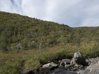 N, More og Romsdal, Fraena, Trollkyrkja 19, Saxifraga-Willem van Kruijsbergen