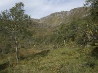 N, More og Romsdal, Fraena, Trollkyrkja 21, Saxifraga-Willem van Kruijsbergen
