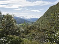 N, More og Romsdal, Fraena, Trollkyrkja 22, Saxifraga-Willem van Kruijsbergen