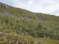 N, More og Romsdal, Fraena, Trollkyrkja 29, Saxifraga-Willem van Kruijsbergen