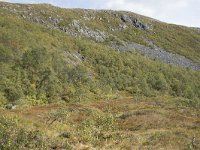 N, More og Romsdal, Fraena, Trollkyrkja 31, Saxifraga-Willem van Kruijsbergen