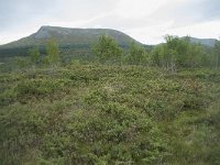 N, More og Romsdal, Fraena, Trollkyrkja 55, Saxifraga-Annemiek Bouwman