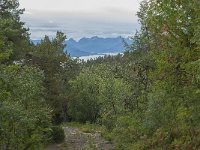 N, More og Romsdal, Molde, Tusenarsvarden 35, Saxifraga-Annemiek Bouwman
