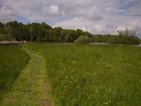 F. Saône et Loire, Ménetreuil 1, Saaxifraga-Jan Nijendijk, Le Pré de Ménetreuille