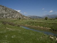 GR, Crete, Lasithi, Lasithi Plain 11, Saxifraga-Willem van Kruijsbergen