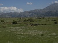 GR, Crete, Lasithi, Lasithi Plain 8, Saxifraga-Willem van Kruijsbergen
