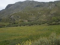 GR, Crete, Rethimnon, Koxare 12, Saxifraga-Willem van Kruijsbergen
