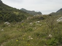 GR, Crete, Rethimnon, Koxare 9, Saxifraga-Willem van Kruijsbergen