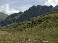 I, Valle d Aosta, La Thuile, Col du Petit Saint Bernard 4, Saxifraga-Jan van der Straaten
