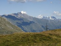 I, Valle d Aosta, La Thuile, Col du Petit Saint Bernard 7, Saxifraga-Jan van der Straaten