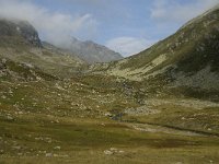 CH, Graubuenden, Davos, Fluela Pass 1, Saxifraga-Jan van der Straaten