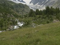 CH, Wallis, Blatten, Loetschental, Langgletscher 2, Saxifraga-Willem van Kruijsbergen