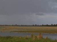 NL, Friesland, Dongeradeel, Ezumakeeg 13, Saxifraga-Hans Boll