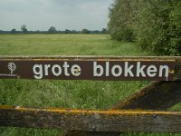 NL, Gelderland, Lochem, De Ravenswaarden, Grote Blokken 6, Saxifraga-Willem van Kruijsbergen