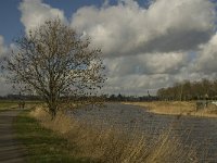NL, Noord-Brabant, ´s-Hertogenbosch, Bossche Broek 34, Saxifraga-Jan van der Straaten