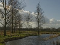 NL, Noord-Brabant, ´s-Hertogenbosch, Bossche Broek 39, Saxifraga-Jan van der Straaten