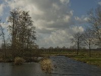 NL, Noord-Brabant, ´s-Hertogenbosch, Bossche Broek 40, Saxifraga-Jan van der Straaten