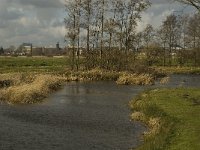NL, Noord-Brabant, ´s-Hertogenbosch, Bossche Broek 41, Saxifraga-Jan van der Straaten