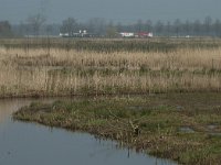 NL, Noord-Brabant, Hilvarenbeek, Biest-Houtakker 2, Saxifraga-Willem van Kruijsbergen