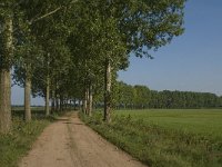 NL, Noord-Brabant, Hilvarenbeek, Biestse Gemeynt 10, Saxifraga-Jan van der Straaten