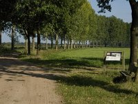 NL, Noord-Brabant, Hilvarenbeek, Biestse Gemeynt 2, Saxifraga-Jan van der Straaten
