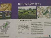 NL, Noord-Brabant, Hilvarenbeek, Biestse Gemeynt 4, Saxifraga-Jan van der Straaten