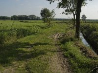 NL, Noord-Brabant, Hilvarenbeek, Biestse Gemeynt 8, Saxifraga-Jan van der Straaten