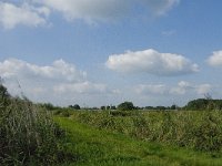 NL, Noord-Brabant, Hilvarenbeek, Spruitenstroompje 16, Saxifraga-Jan van der Straaten