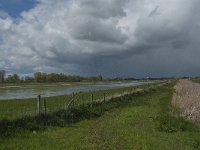 NL, Noord-Brabant, Lith, Marense eendenkooi 7, Saxifraga-Jan van der Straaten