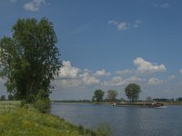 NL, Noord-Brabant, Oss, Middelwaard 12, Saxifraga-Jan van der Straaten