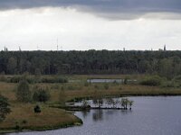 NL, Noord-Brabant, Reusel-De Mierden, De Flaes 13, Saxifraga-Tom Heijnen