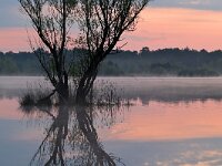 NL, Noord-Brabant, Valkenswaard, Greveschutven in Landgoed Valkenhorst 6, Saxifraga-Tom Heijnen