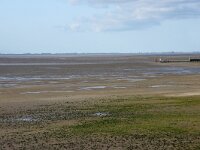 NL, Friesland, Schiermonnikoog, Jachthaven 1, Saxifraga-Foto Fitis-Sytske Dijksen