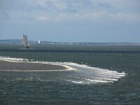 NL, Friesland, Terschelling 6, Saxifraga-Foto Fitis-Sytske Dijksen