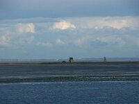 NL, Friesland, Terschelling, Griend 1, Saxifraga-Foto Fitis-Sytske Dijksen